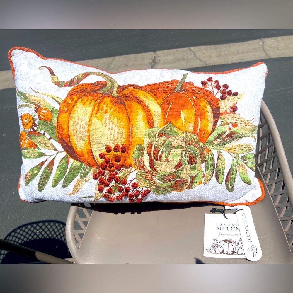 Embroidered pumpkin throw pillow (NWT)